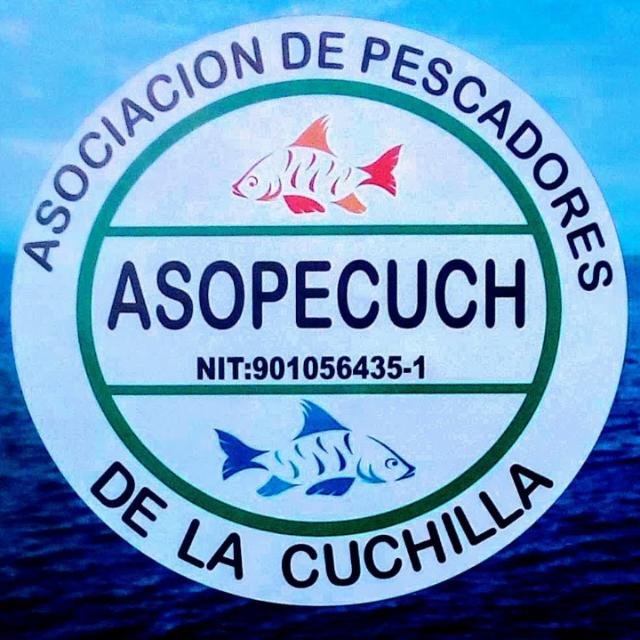 Logo ASOPECUCH